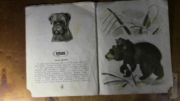 Толстой Булька книжка