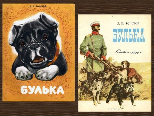 Произведение л н Толстого Булька