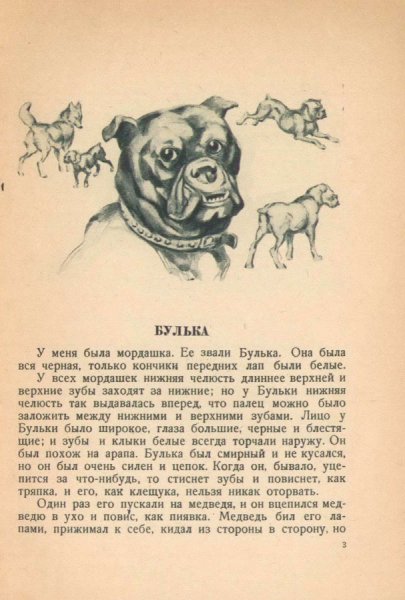 Рассказ л.н.Толстого Булька