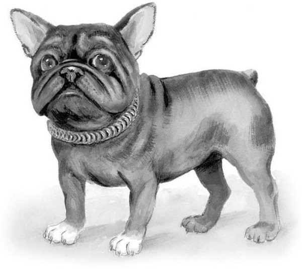 Лев Николаеви толстой булка