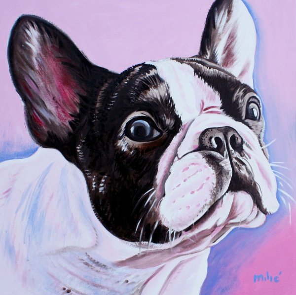 Маркетри французский бульдог