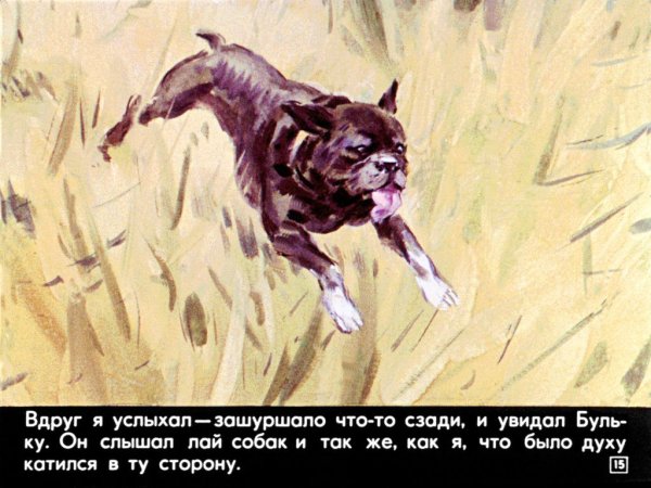 Лев Николаевич толстой булка