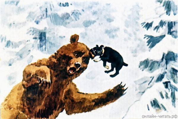 Иллюстрации Лев Николаевич толстой Булька