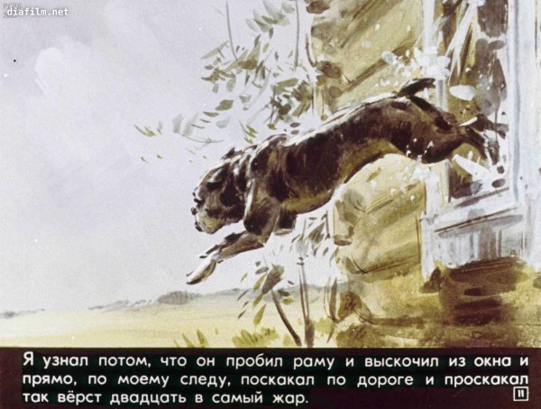 Лев Николаевич толстой Булька