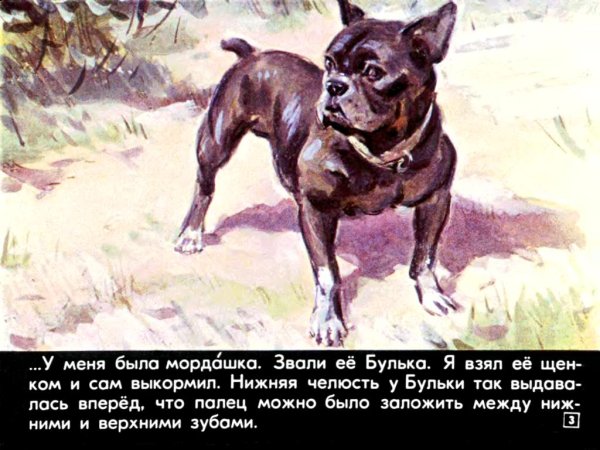 Произведение Льва Николаевича Толстого Булька