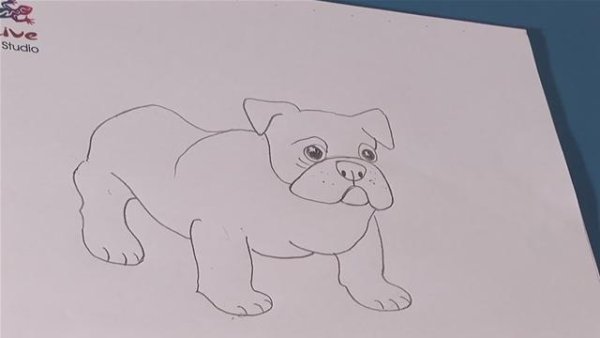 Булька рисунок