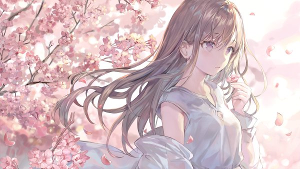 Икимоно Гакари Сакура