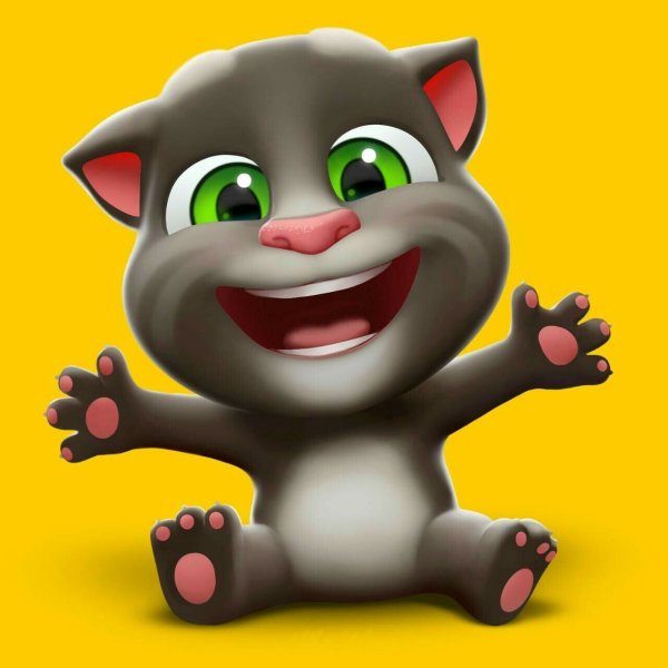 Talking Tom 2013