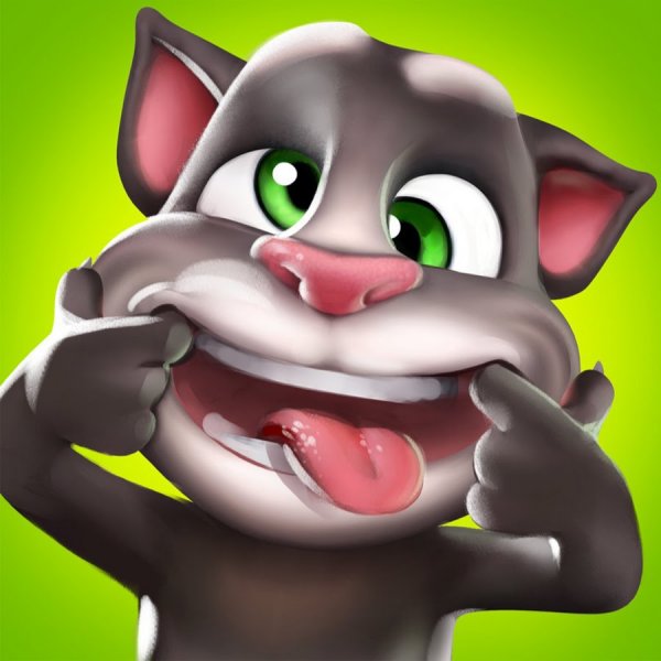 Talking Tom Cat