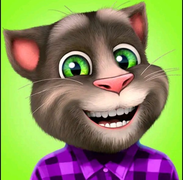 Talking Tom Cat