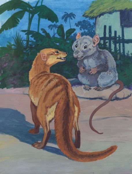 Мангуст из Рикки Тикки