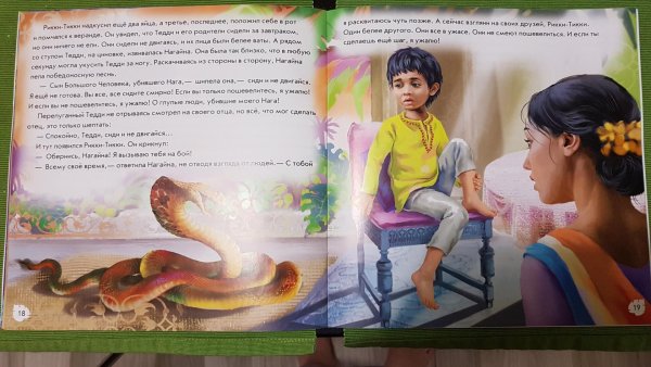 Рикки Тикки Тави иллюстрации книжные