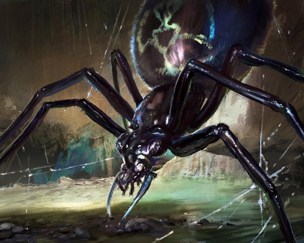 Паук Арахнид