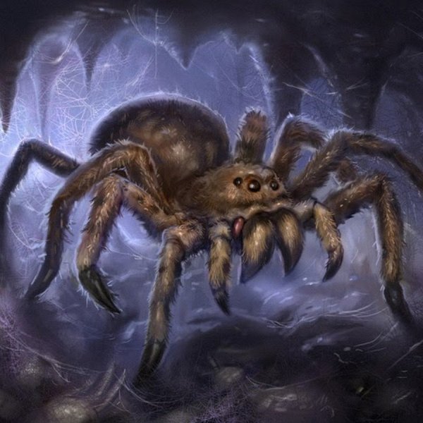 Древние пауки Арахниды