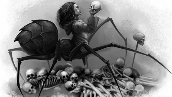 Черная вдова паук