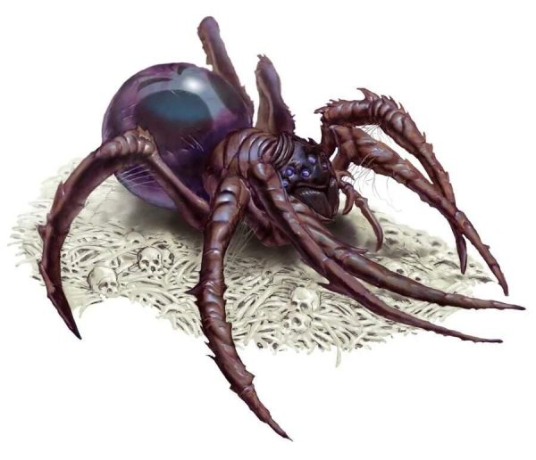 Giant Spider DND 5e