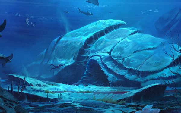 Подводный пейзаж