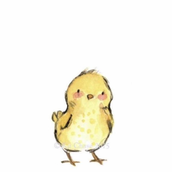 Милый цыпленок арт