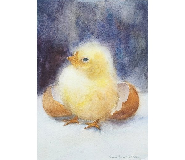 Птенцы арты