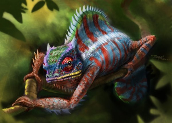 Хамелеон фэнтези