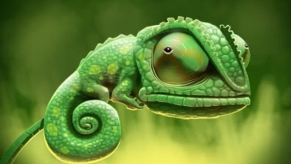 Хамелеон на аву