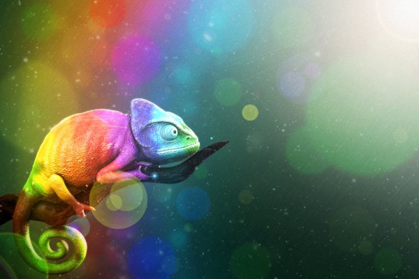 Хамелеон арт