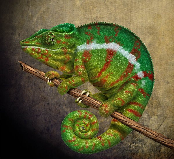 Хамелеон картина маслом