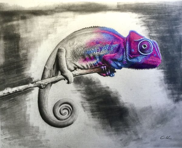 Хамелеон Графика