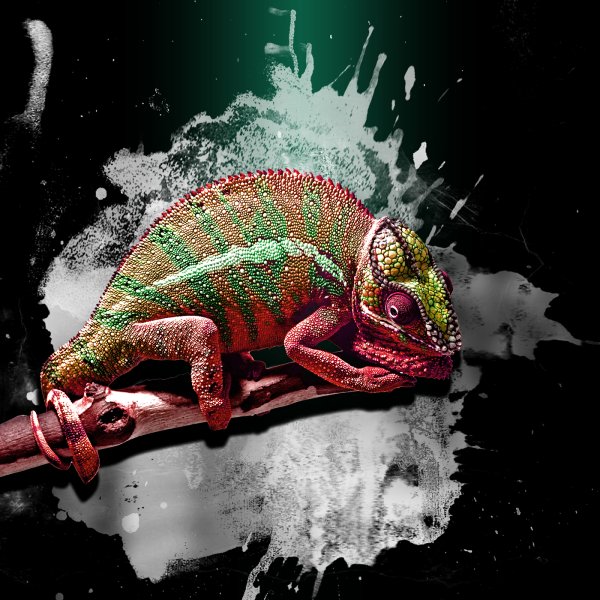 ARBIX хамелеон