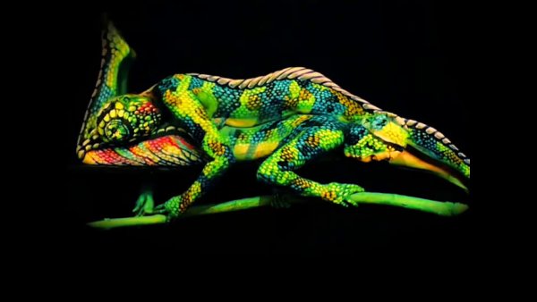 Художник Йоханнес Стоттер