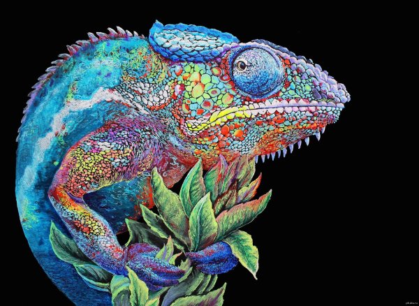 Хамелеон иллюстрация