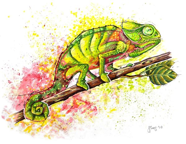 Хамелеон на акварельном фоне