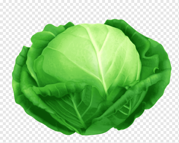 Кэбидж Cabbage
