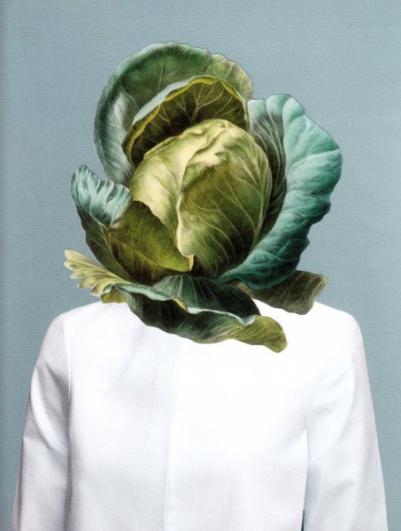 Капуста на голову