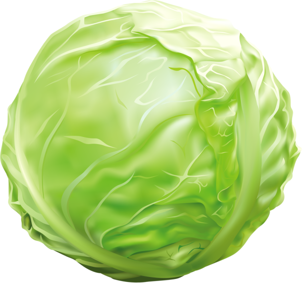 Овощи капуста