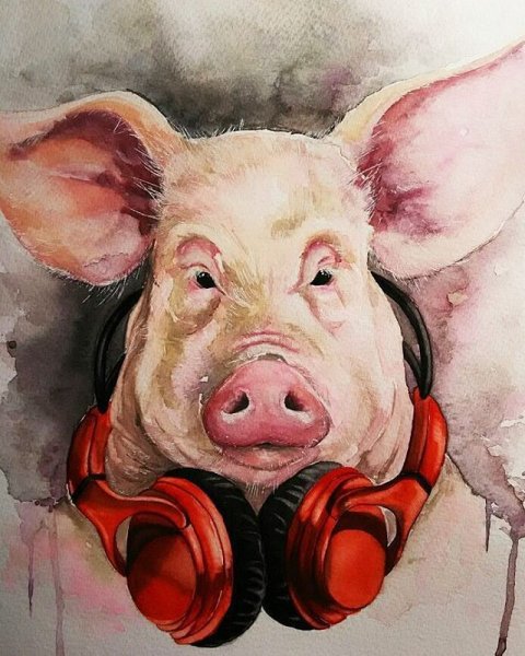 Свинья арт