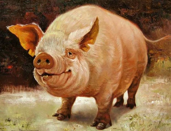 Картина свинья