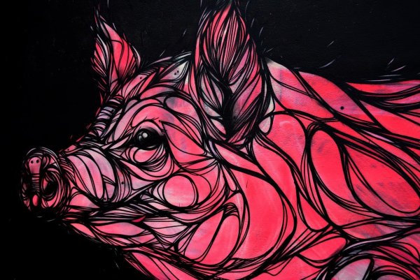 Свинья абстракция