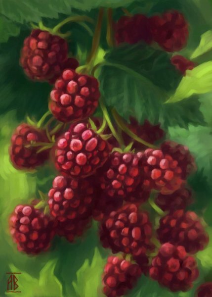 Ягоды арт