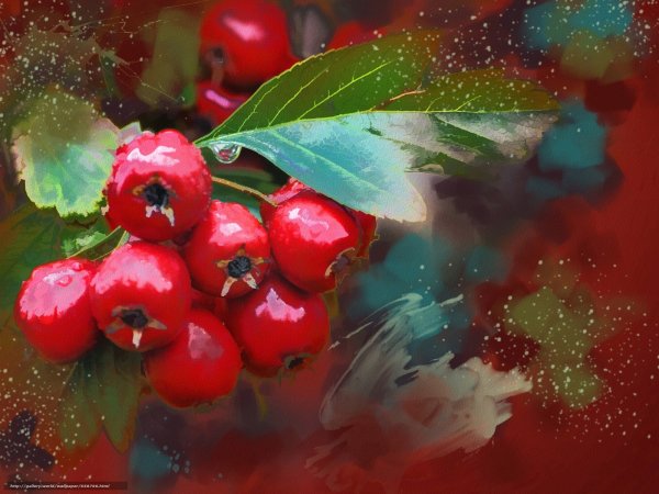 Фэнтези ягоды