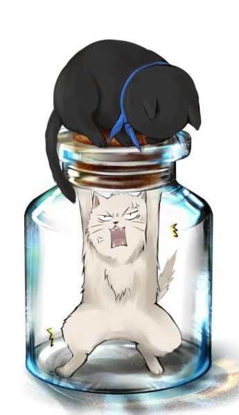 Кот в банке арт