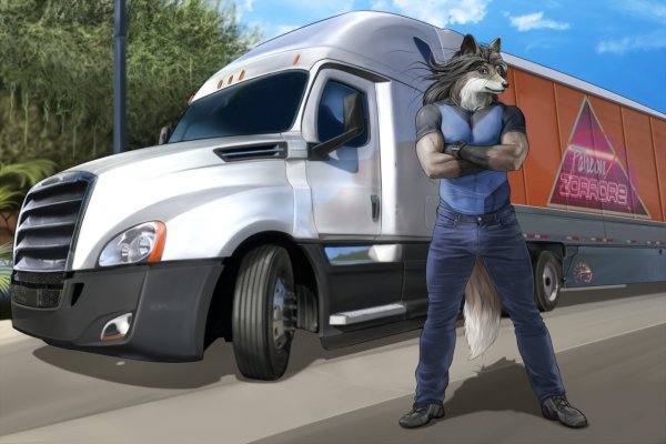 Фурри траки