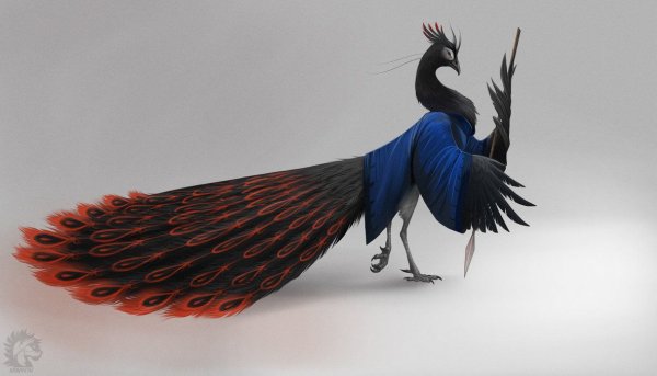 Птица Павлин Шень