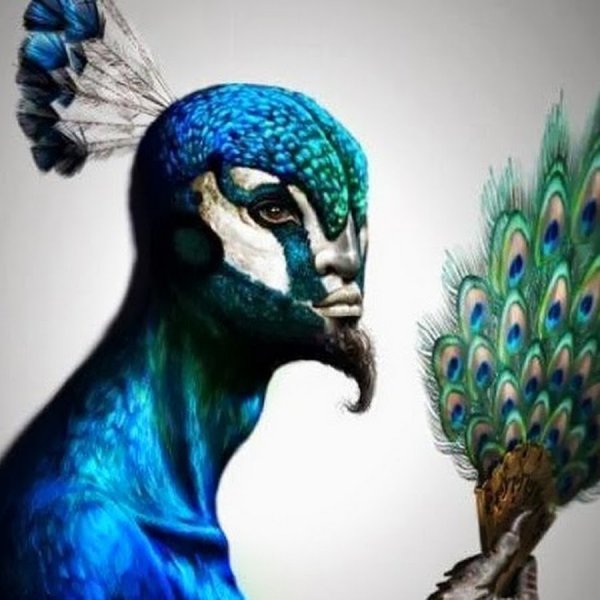 Мелек Тавус