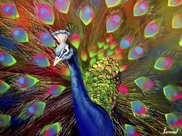 Павлин Тарасова