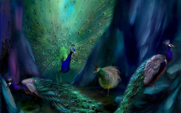 Кэрол Каваларис картины птицы