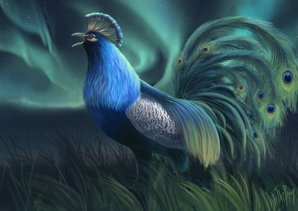 Злой Павлин