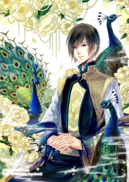 Павлин аниме