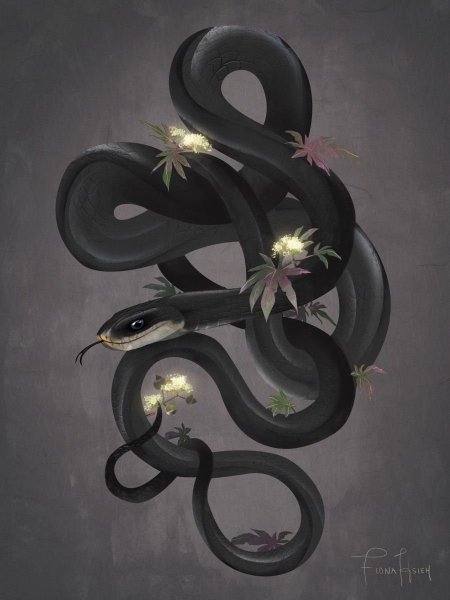 Fiona Hsieh змея