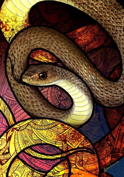 Красивые змеи арт